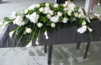 deko4-1024x662 deko4-1024x662